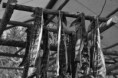 /album/alaska/alaskanikon-078-jpg/